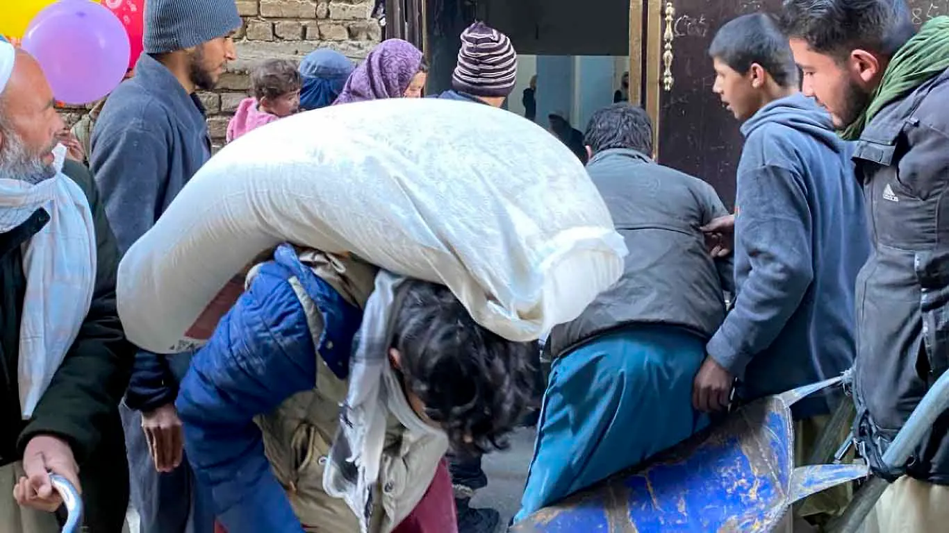 collecting food